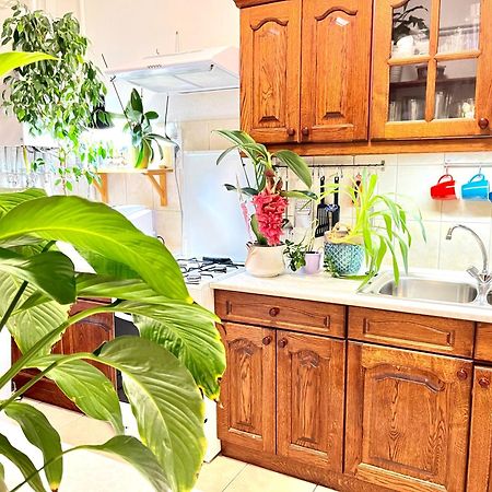 Margaret Bridge Best Spot Apartment ブダペスト エクステリア 写真